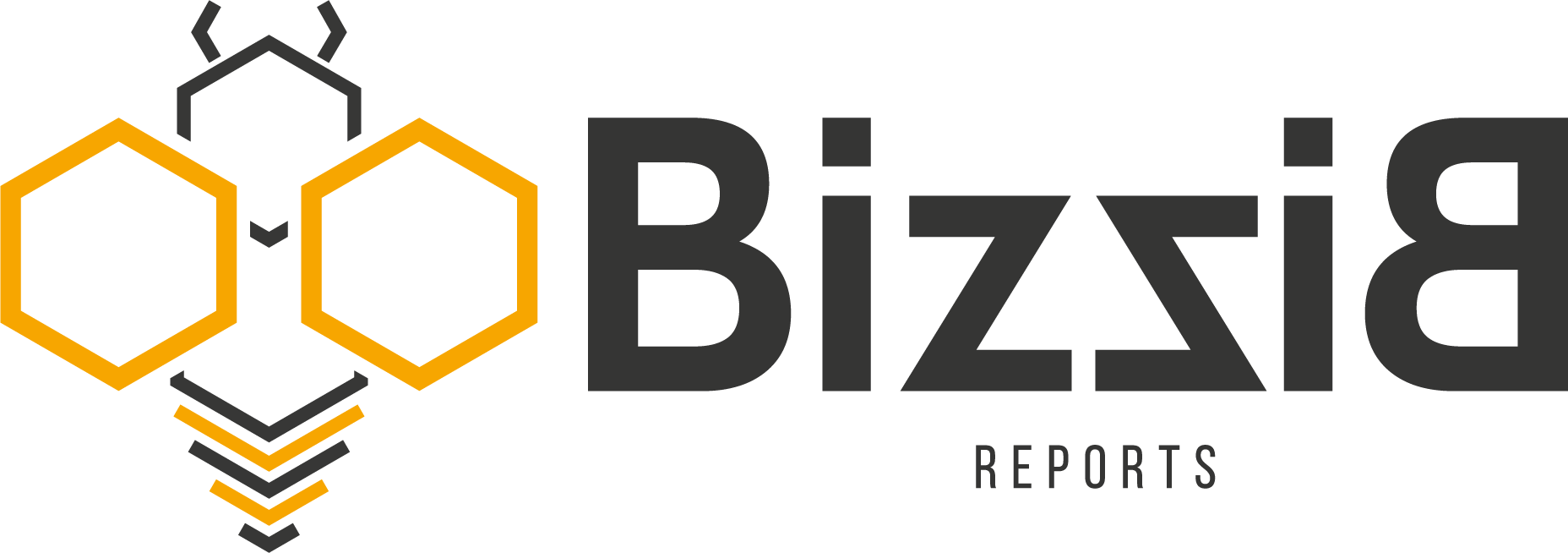 Bizzi-B Reports